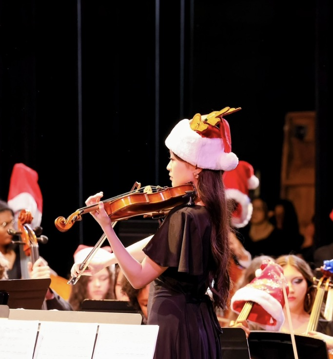 Violin